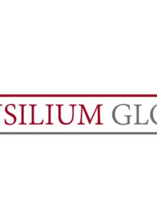 Компания Consilium Global