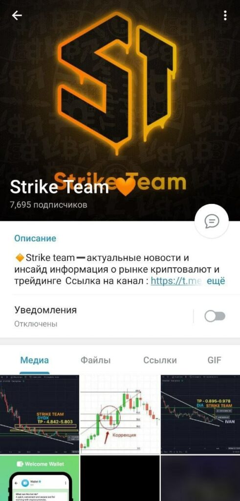 Канал Strike Team в телеграмме