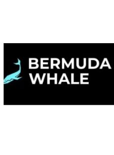 Bermuda Whale Телеграмм